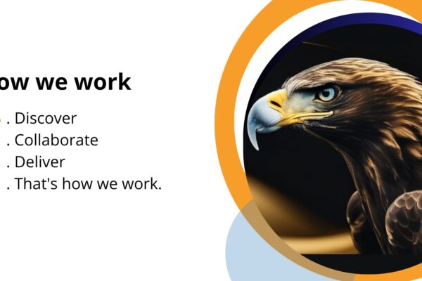 How we work
